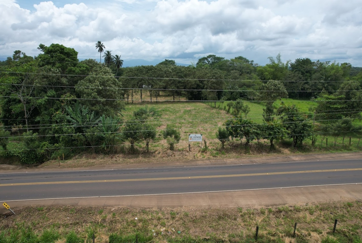 terreno en boca arenal